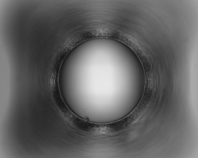 X0000096210695200801181430