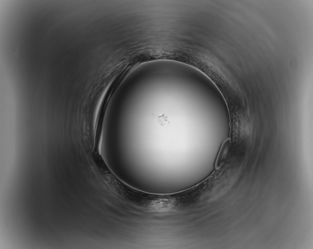 X0000096210700200801181430