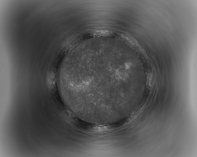 X0000096210701200801181430