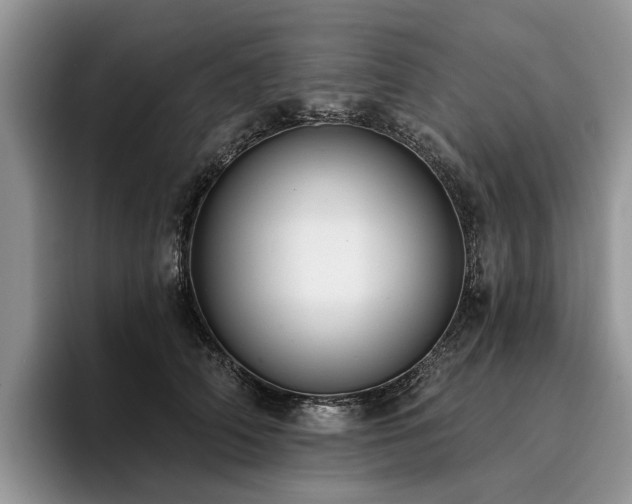 X0000096210706200801181430