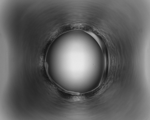X0000096210708200801181430