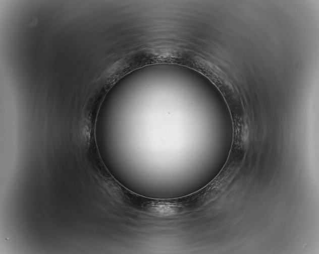 X0000096210710200801181430
