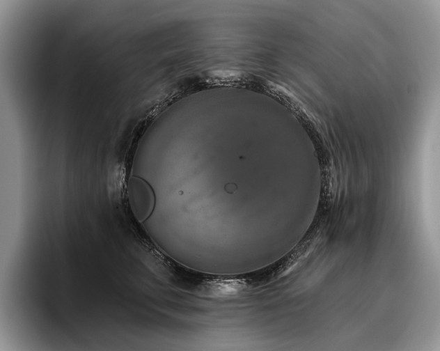 X0000096210711200801181430