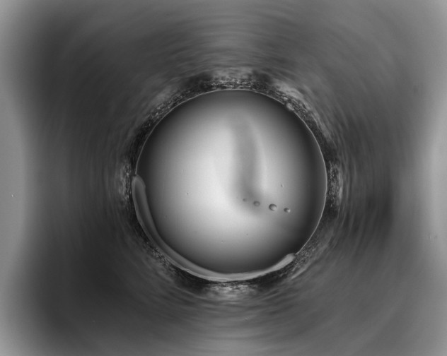 X0000096210712200801181430