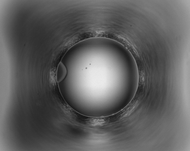 X0000096210719200801181430