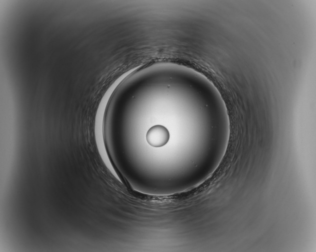 X0000096210720200801181430