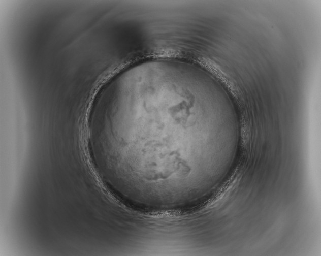 X0000096210721200801181430