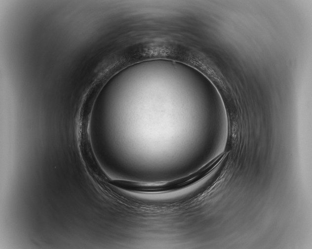 X0000096210722200801181430