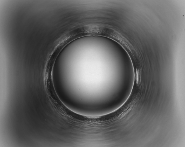 X0000096210723200801181430