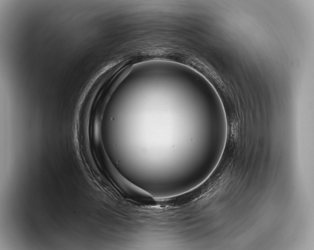 X0000096210724200801181430