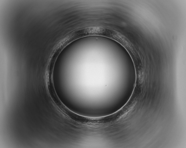 X0000096210725200801181430
