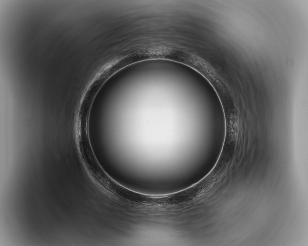 X0000096210726200801181430