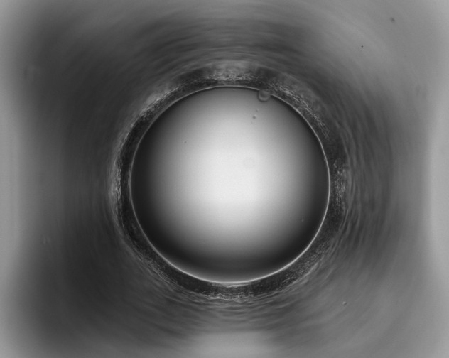 X0000096210727200801181430