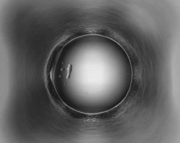 X0000096210730200801181430