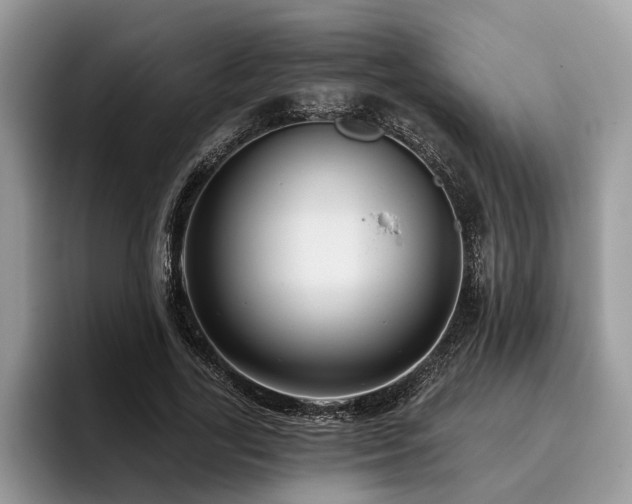 X0000096210731200801181430