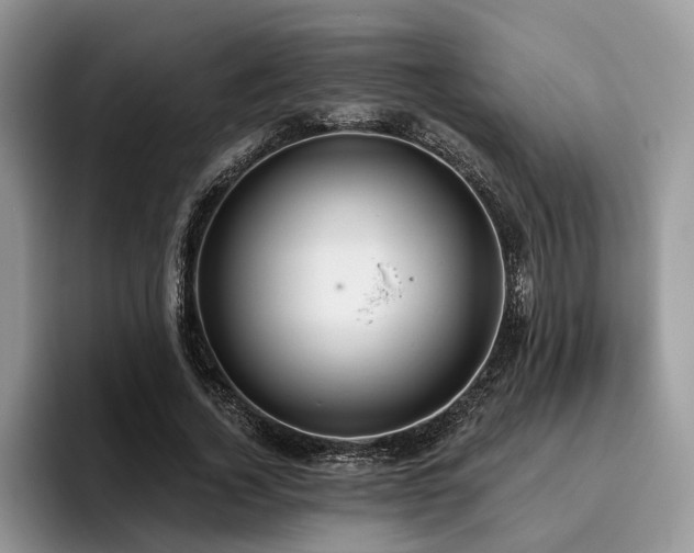 X0000096210732200801181430