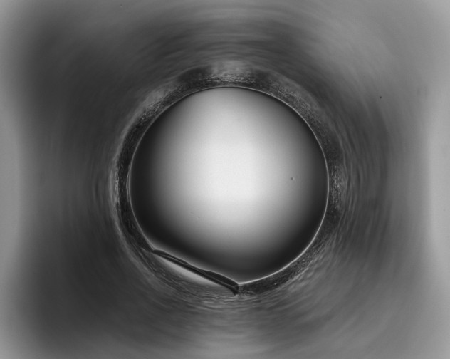X0000096210734200801181430