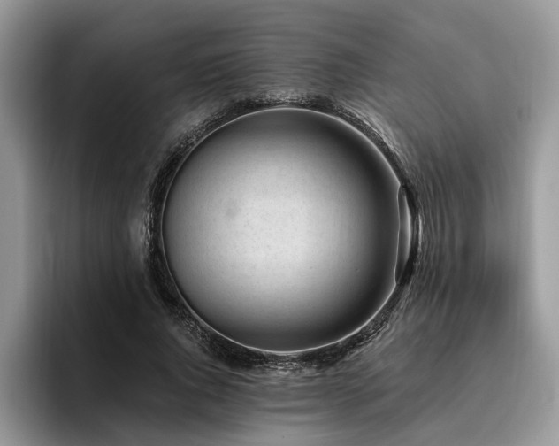 X0000096210736200801181430