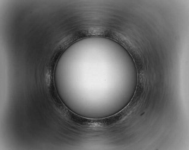 X0000096210741200801181430