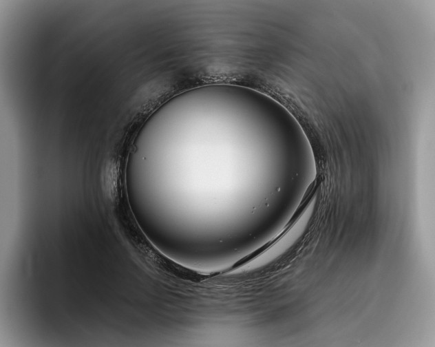 X0000096210742200801181430