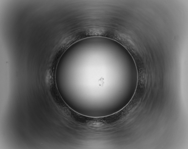 X0000096210743200801181430