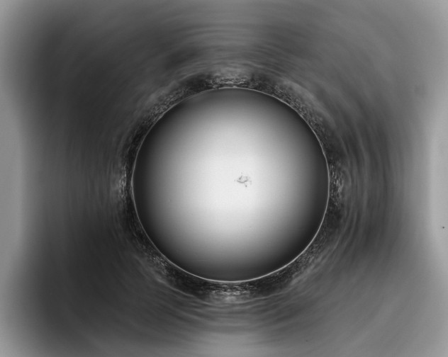 X0000096210745200801181430