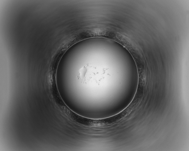 X0000096210746200801181430
