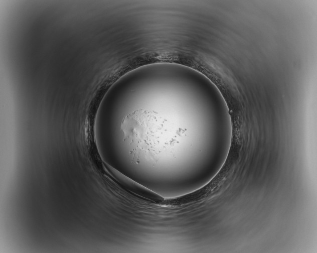 X0000096210748200801181430