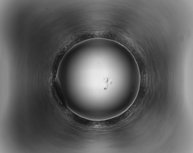 X0000096210750200801181430