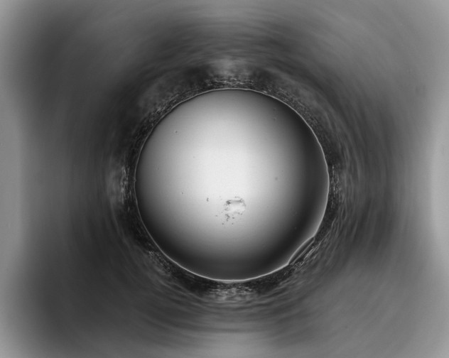 X0000096210752200801181430