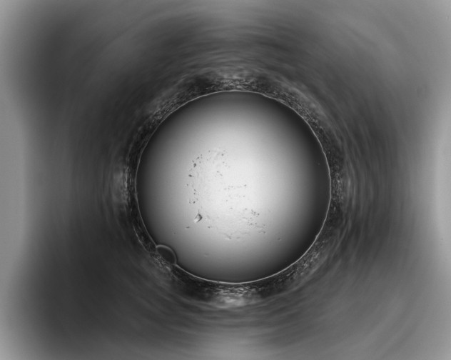 X0000096210757200801181430