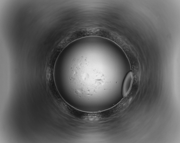 X0000096210758200801181430