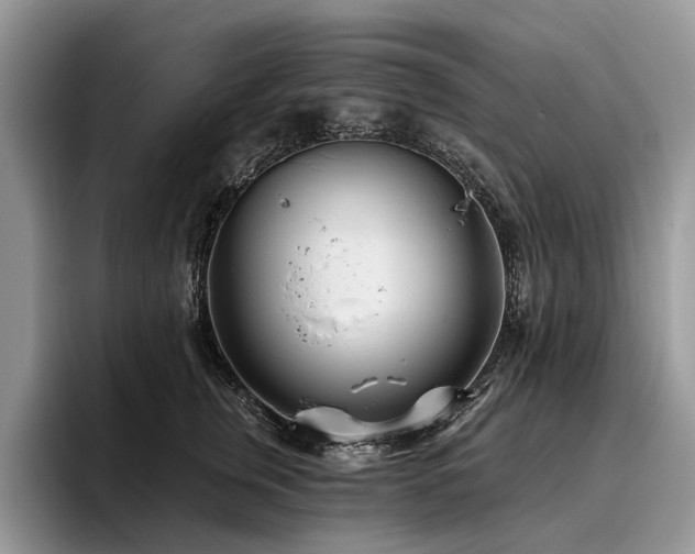 X0000096210759200801181430