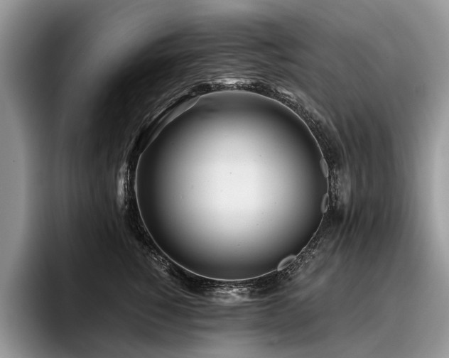 X0000096210760200801181430