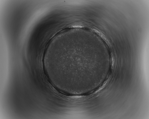 X0000096210762200801181430