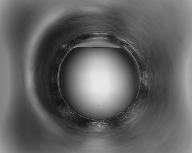 X0000096210763200801181430