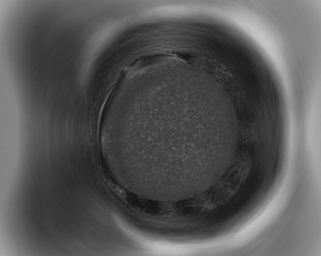 X0000096210766200801181430