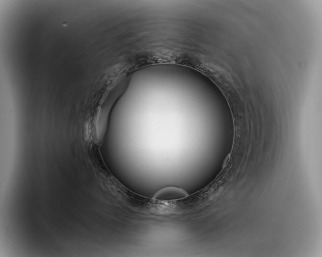 X0000096210768200801181430