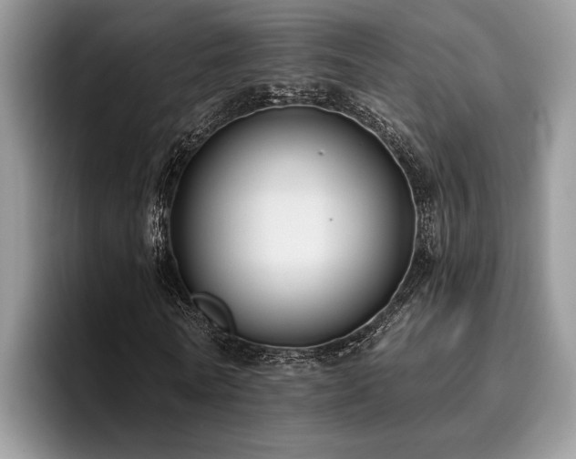 X0000096210770200801181429