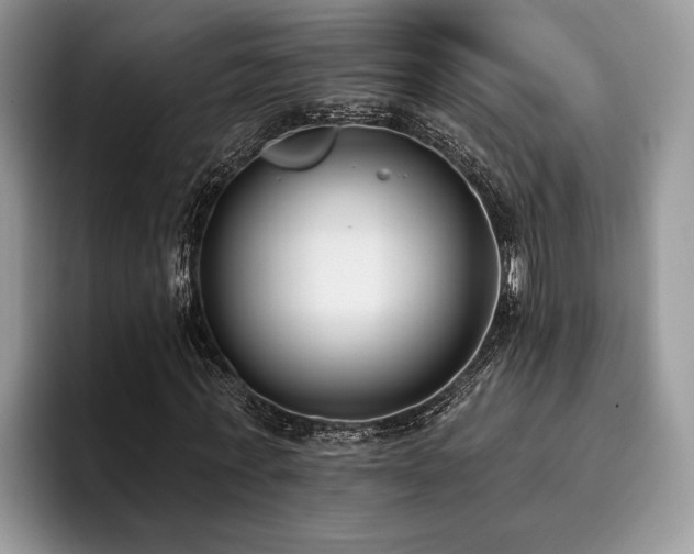 X0000096210771200801181429
