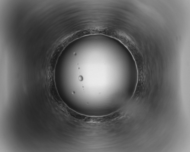 X0000096210773200801181429