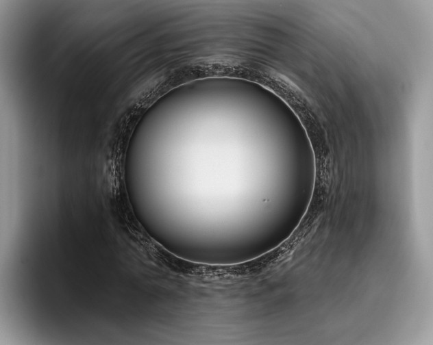 X0000096210774200801181429