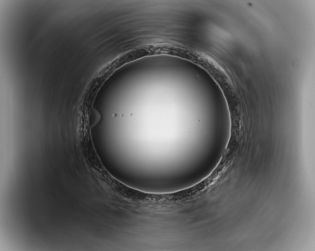X0000096210775200801181429