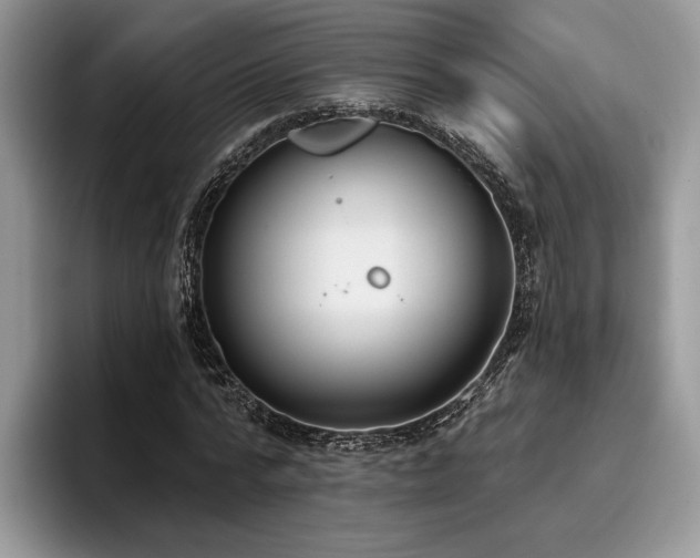 X0000096210776200801181429