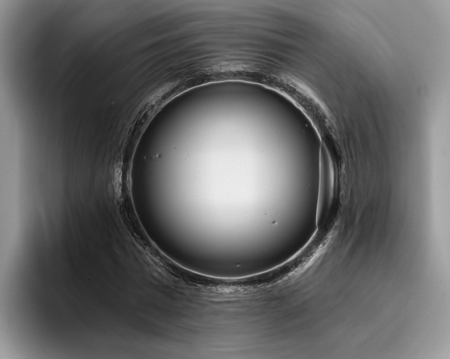 X0000096210777200801181429
