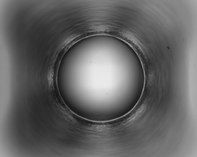 X0000096210778200801181429