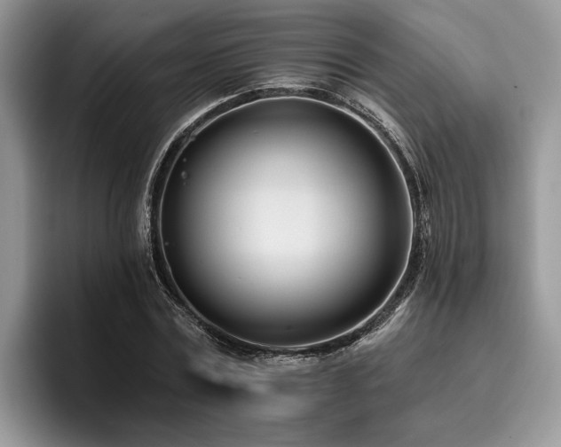 X0000096210779200801181429