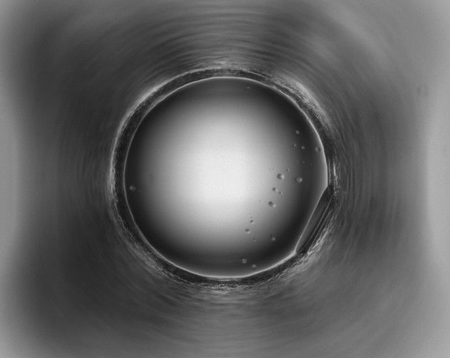 X0000096210780200801181429