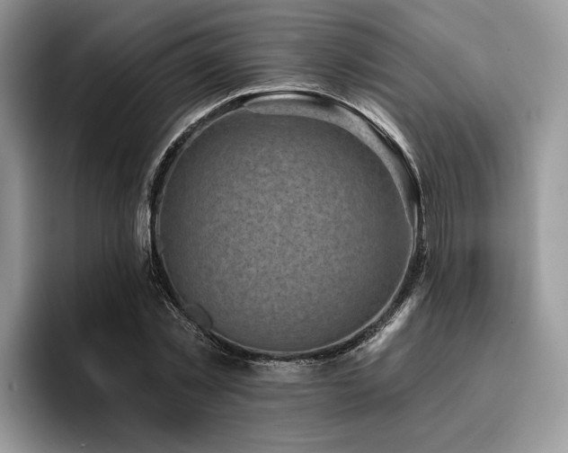 X0000096210781200801181429