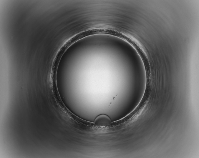 X0000096210783200801181429